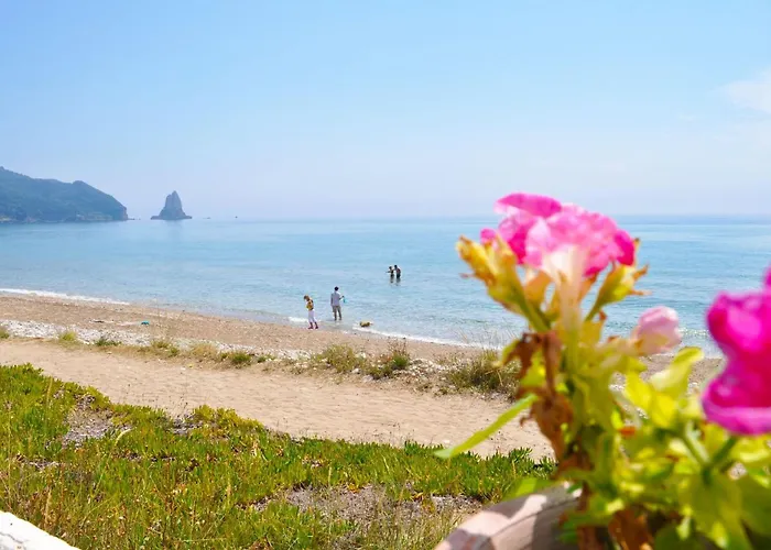 House Letta Very Quiet Location Agios Gordios Auf Korfu Lejlighed *